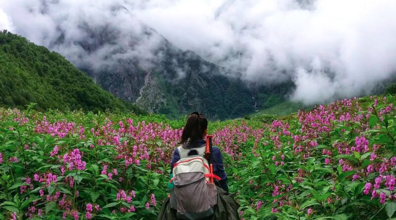 फूलों की घाटी में इस बार घटे भारतीय पर्यटक, राजस्व पर पड़ा असर