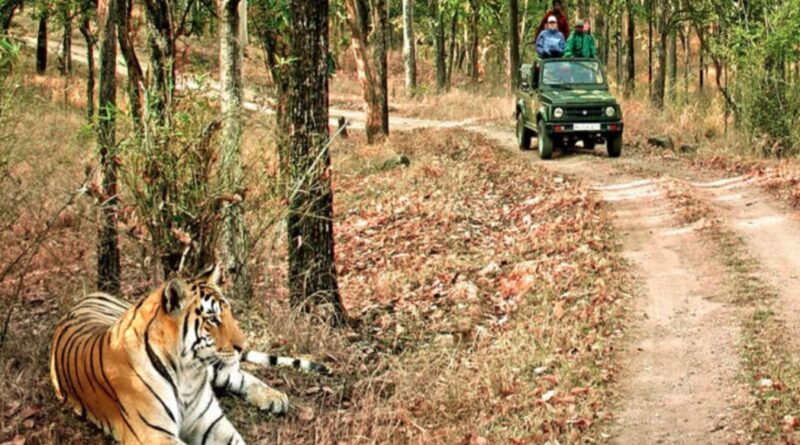 वन्यजीव प्रेमियों के लिए अच्छी खबर, 15 अक्टूबर से पर्यटकों के लिए खोल दिया जाएगा बिजरानी जोन